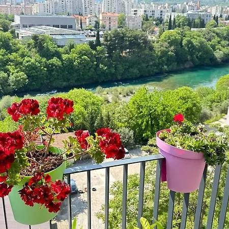 River 503