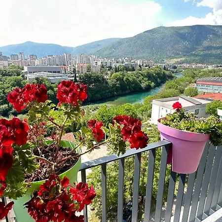 River 503 アパート